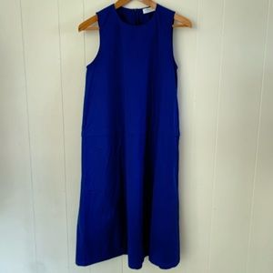 Cobalt blue A shape everlane dress